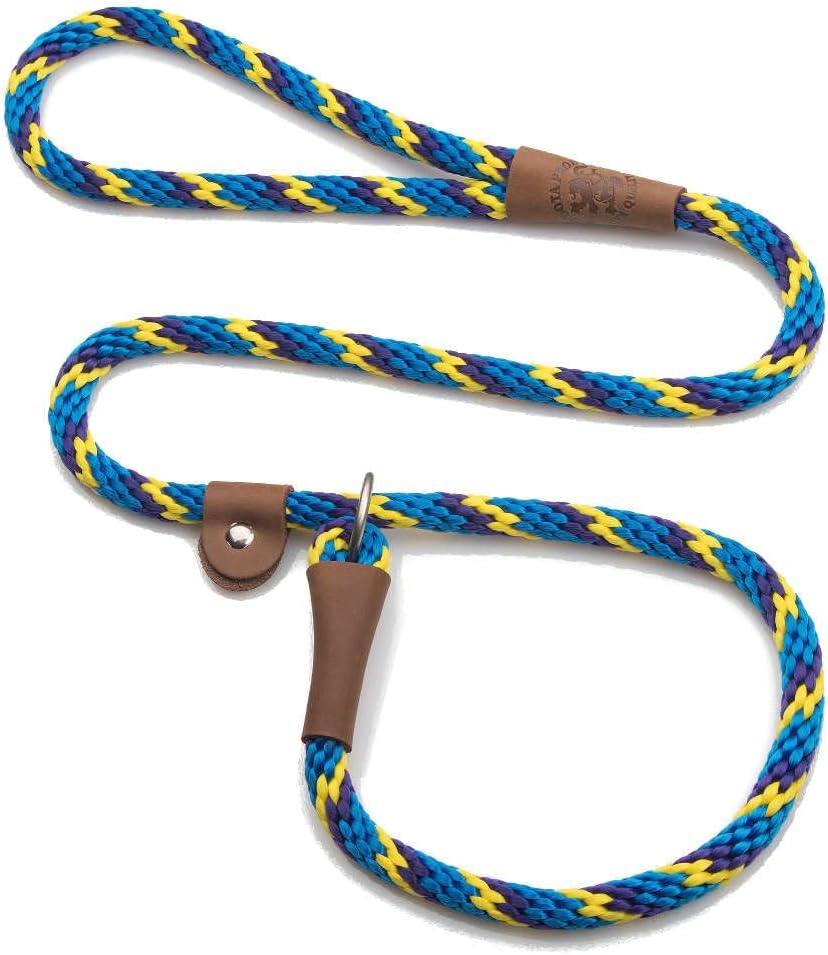 Mendota Pet Slip Leash - Dog Lead and Collar Combo - Made in The USA - Sunset, 1/2 in x 6ft - for Large Breeds