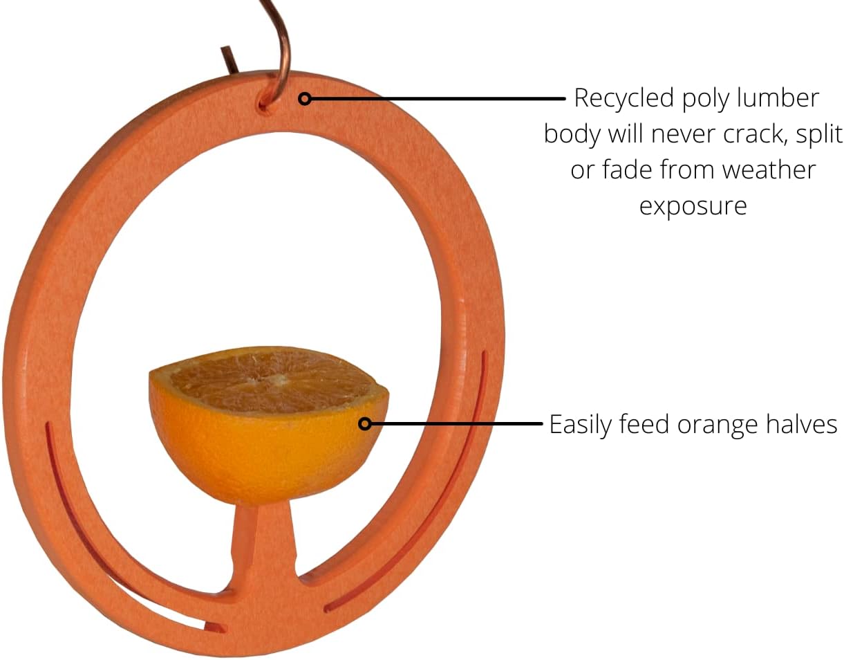 America's Favorite Orange Spike Oriole Bird Feeder