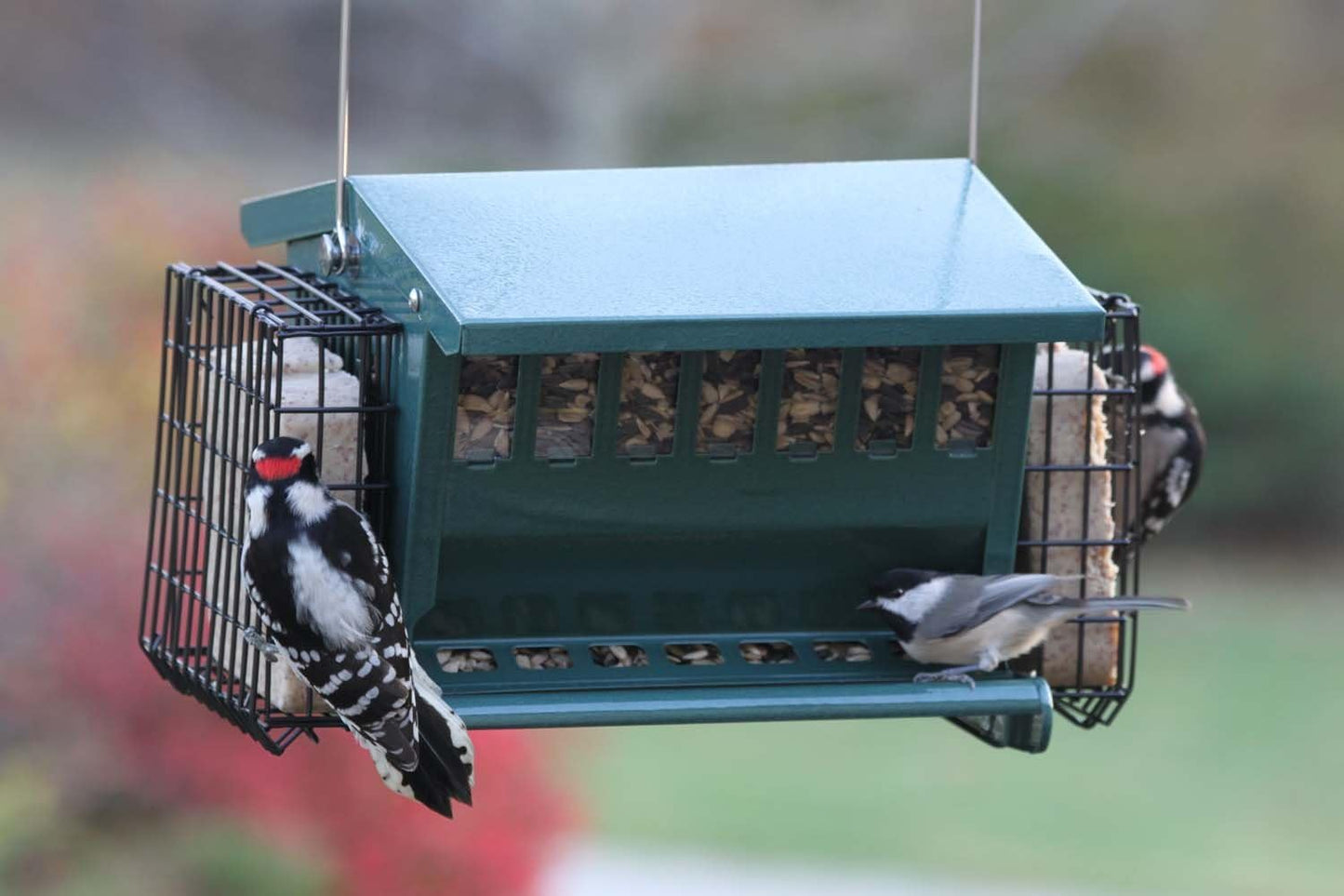 Woodlink Cherry Valley Green Mini Seeds 'N More Bird Feeder With Suet Cages