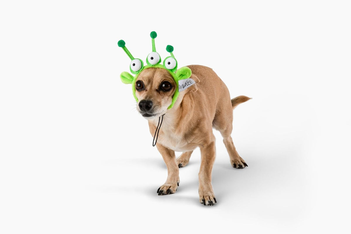 Midlee Alien Dog Headband Halloween Costume - Small