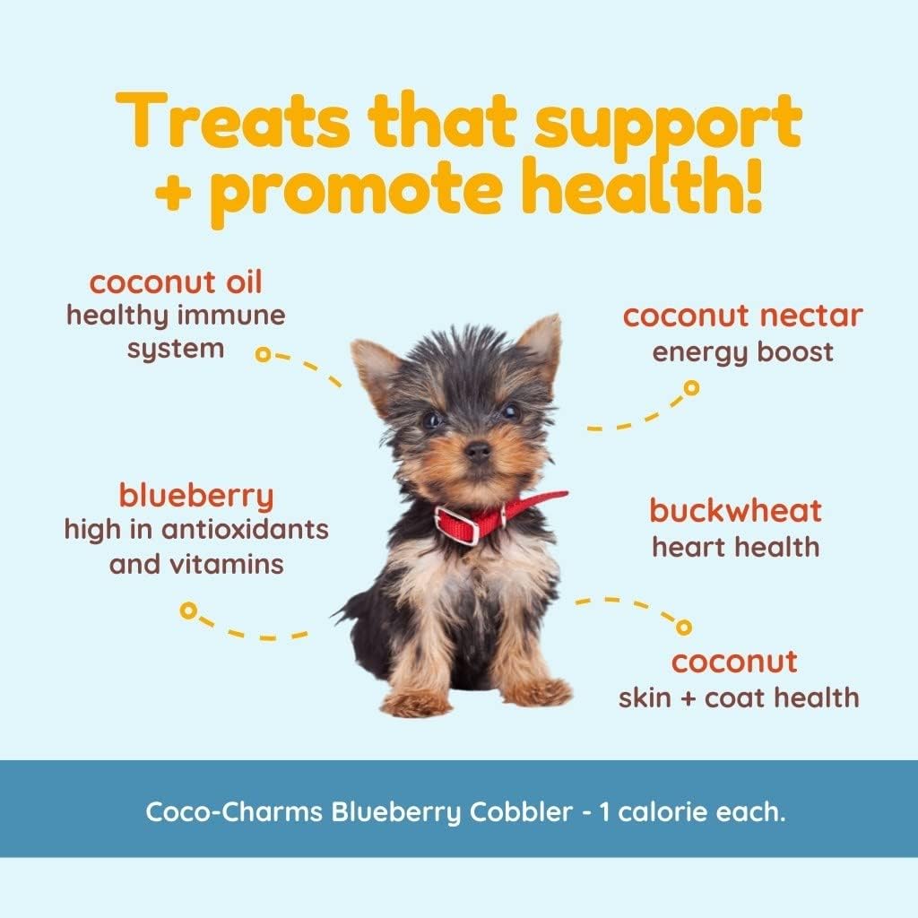 CocoTherapy Blueberry Cobbler Coco-Charms Dog Training Treats, 5 Ounces, Organic, Made in The USA- 3 Pack