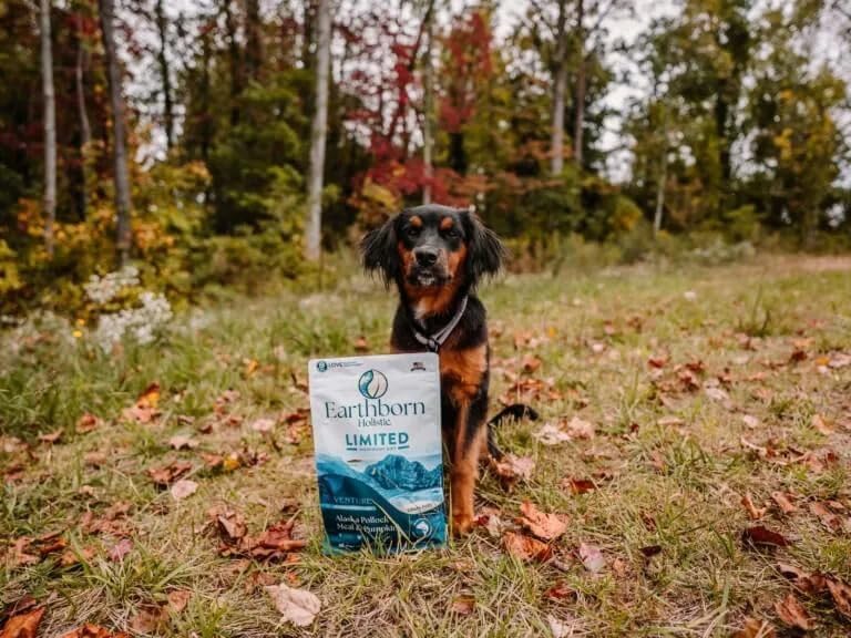 Earthborn Holistic Venture Limited Ingredient Alaska Pollock Meal & Pumpkin Grain-Free Dry Dog Food - 25 Lbs