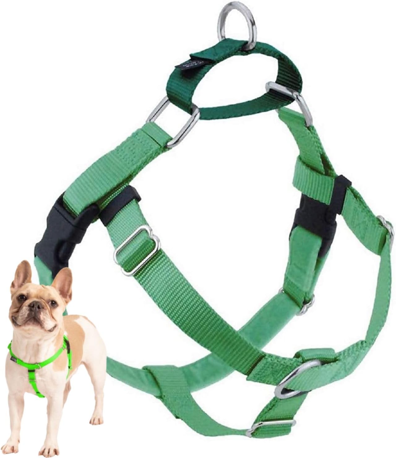 2 Hounds Design Freedom No Pull Dog Harness, Adjustable Harness, Easy Walking & Comfortable Control, Fits Small, Medium & Large Dogs, Solid Colors, Made in USA, 5/8" MD, Neon Green