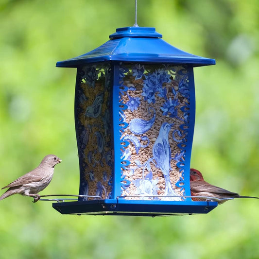 Nature's Way Products Paisley Sky Gazebo Bird Feeder - Blue (3.7 Quart)