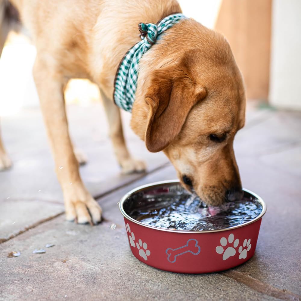 Loving Pets Merlot Red Stainless Steel Dish With Rubber Base - Small