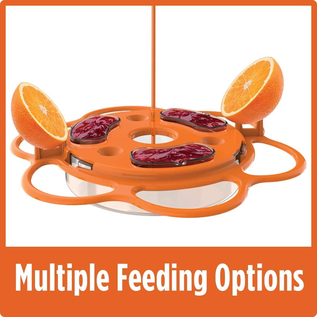 Nature's Way OFP1 All-in-One Oriole Buffet Bird Feeder, Orange