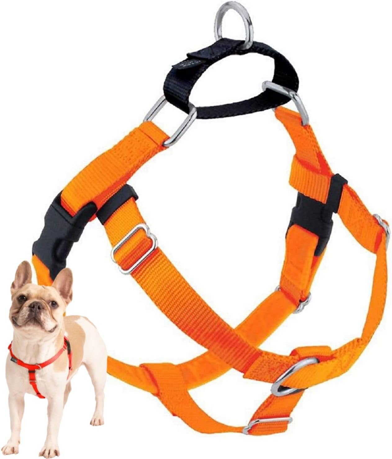 2 Hounds Design Freedom No Pull Dog Harness 1" Medium Neon Orange
