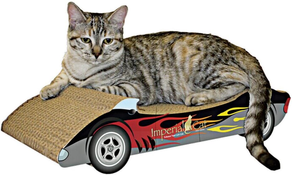 Imperial Cat Scratch 'n Shapes Racer Scratcher - Assorted Color