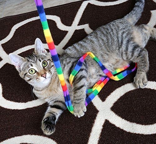 Cat Dancer Rainbow Cat Charmer, 2 Pack