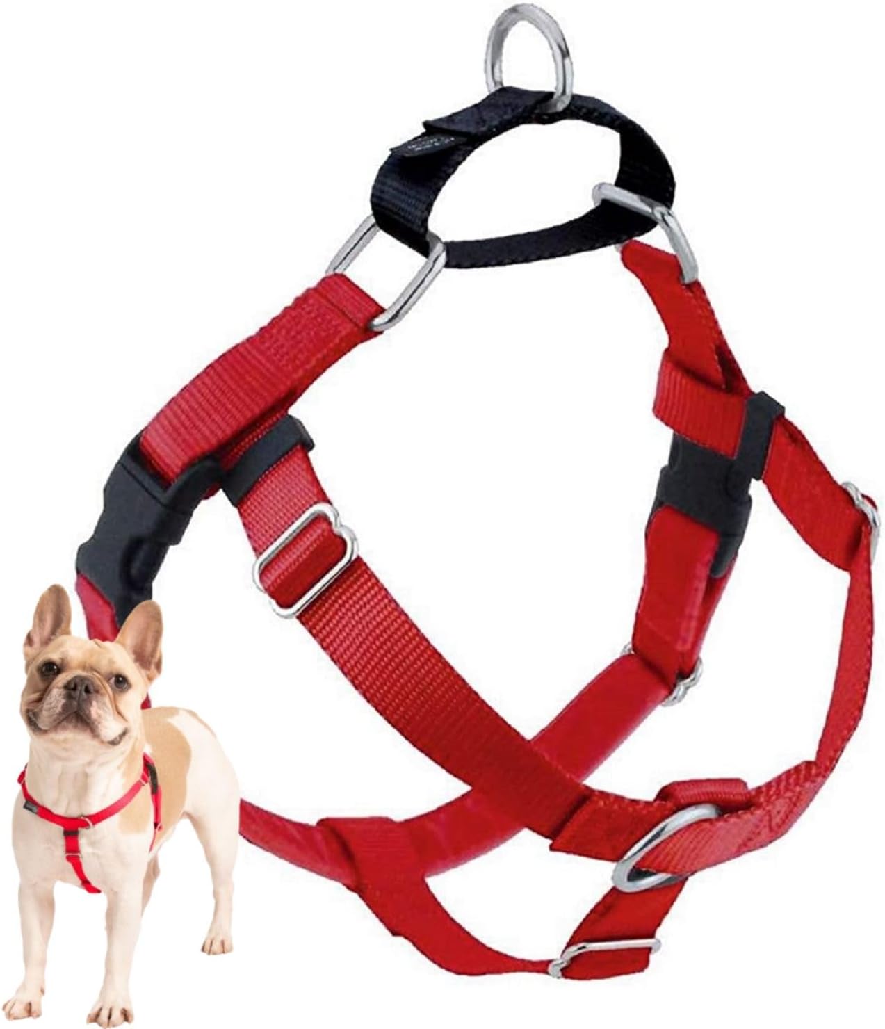 2 Hounds Design Freedom No-Pull Dog Harness - Made in USA (1" Medium, Red)