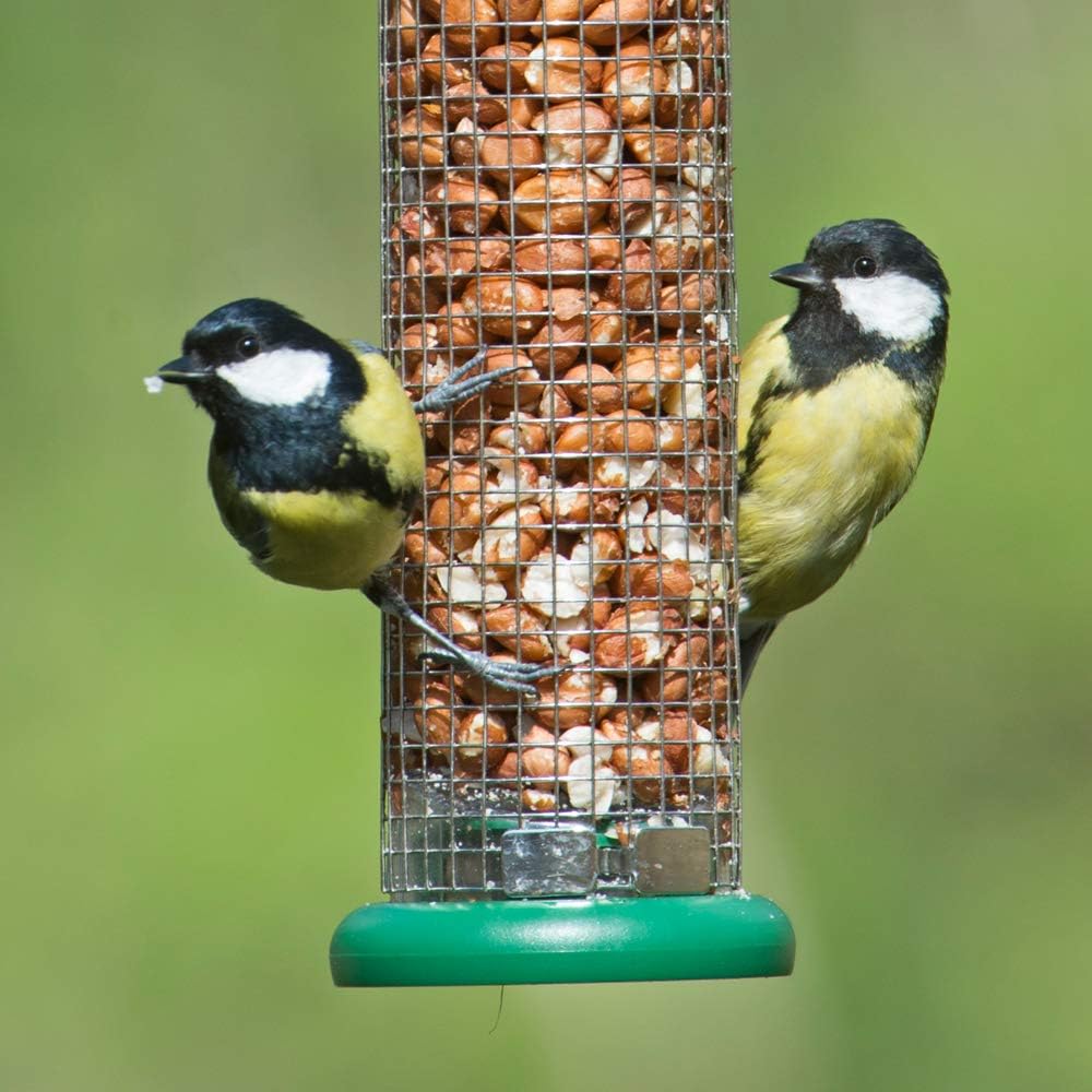 Jacobi Jayne Green Ring Pull Peanut Mesh Bird Feeder - Small