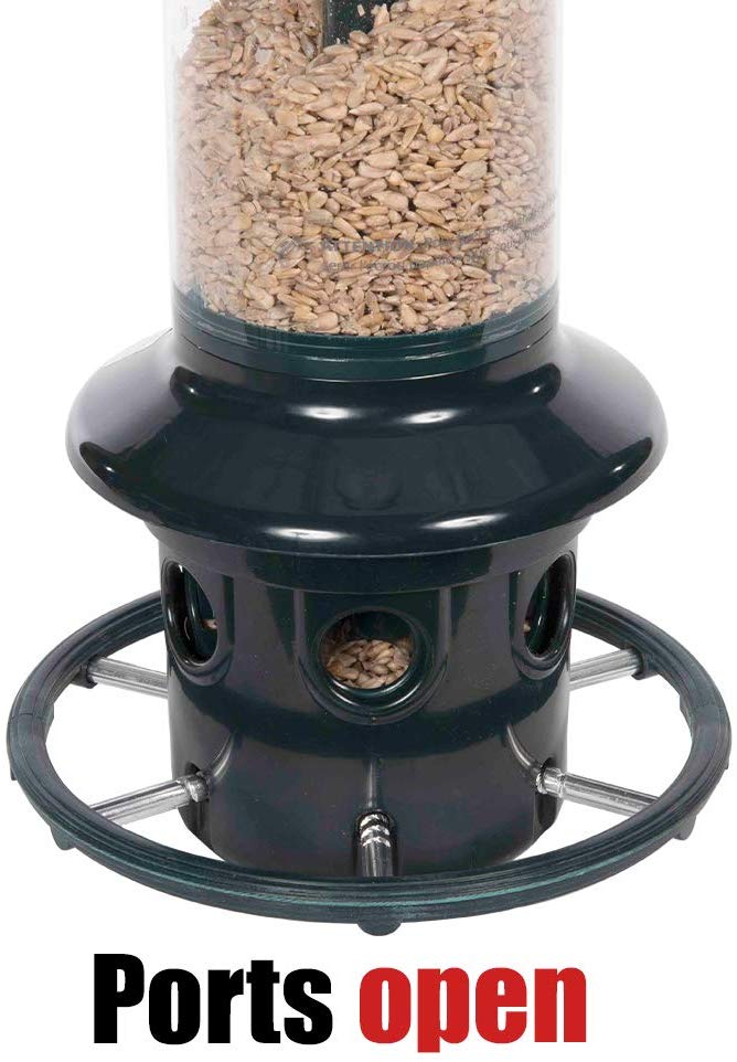 Squirrel Buster Plus Squirrel-proof Bird Feeder w/Cardinal Ring and 6 Feeding Ports, 5.1-pound Seed Capacity