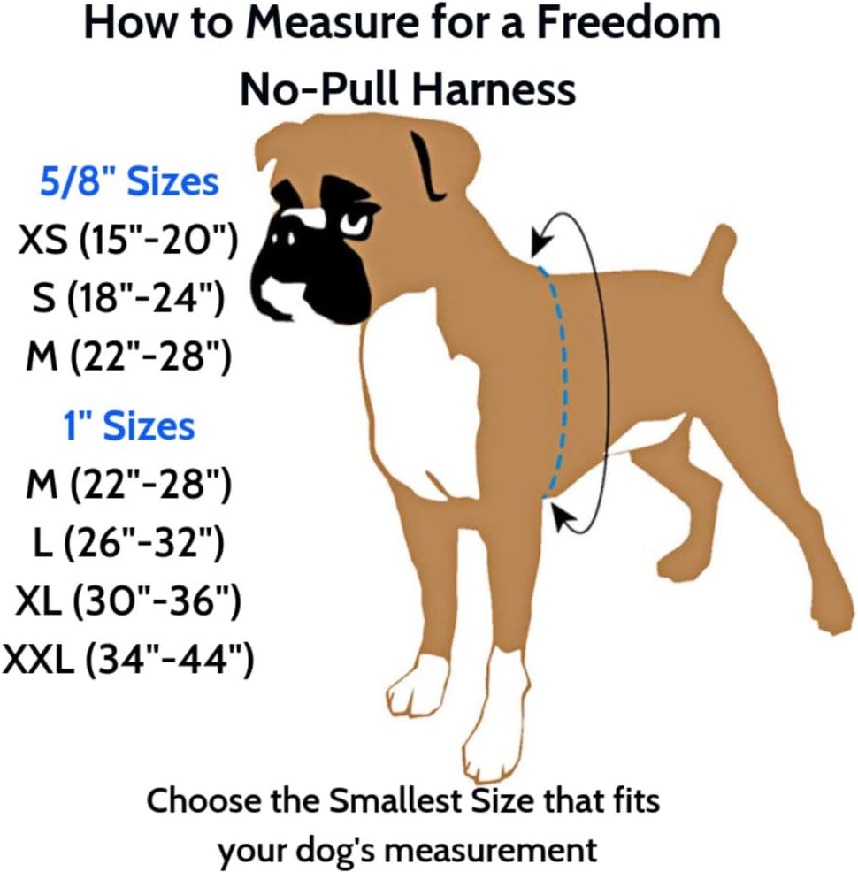 2 Hounds Design Freedom No-Pull Dog Harness Training Package, Small, Raspberry