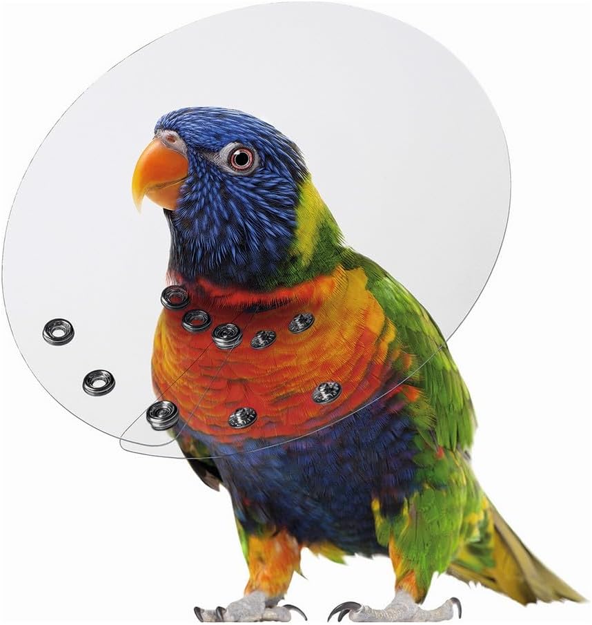 KVP SAF-T-SHIELD E-Collars for Birds 6" Diameter (2" - 2.75")