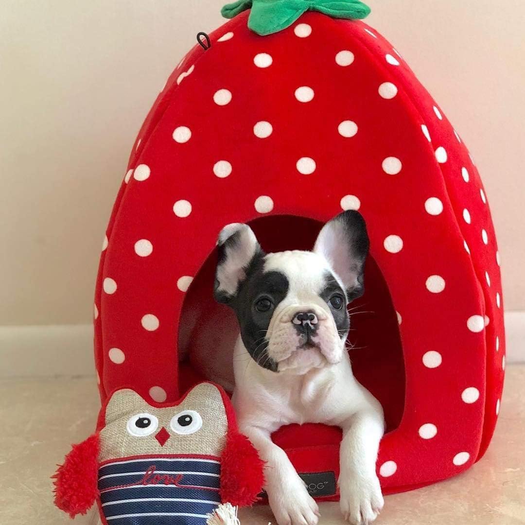 Nandog Strawberry House Dog & Cat Bed - 18"