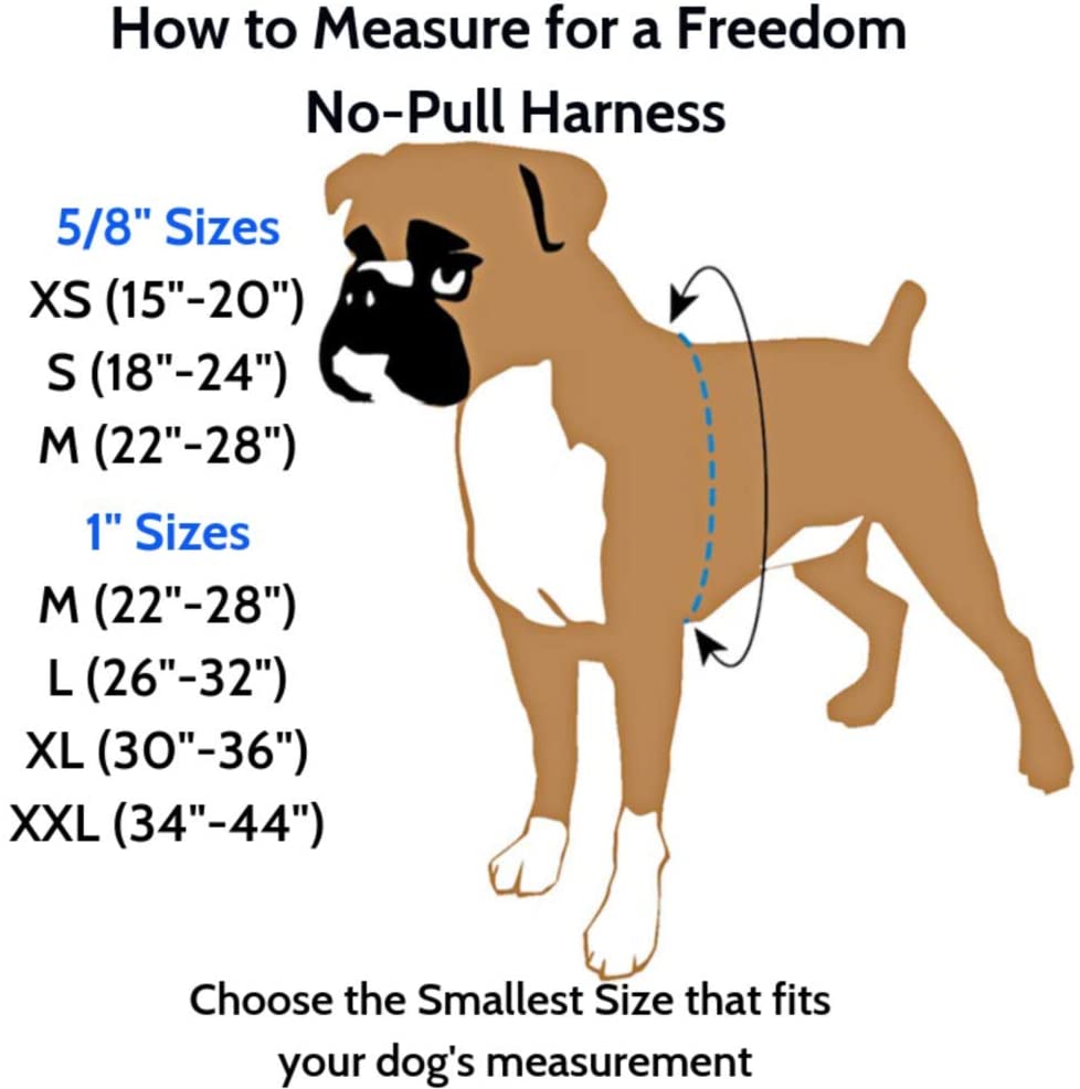 2 Hounds Stars and Stripes Limited Edition Freedom No-Pull Dog Harness (Medium)