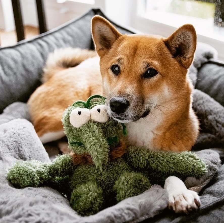 FuzzYard Scratchy the Green Flea Plush Squeaky Dog Toy - Large