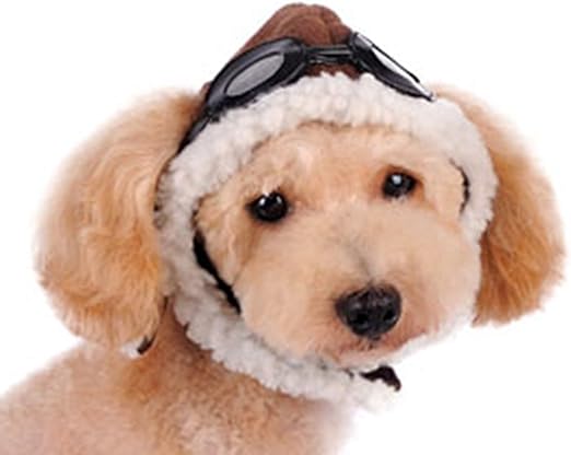 Dogo Pet Fashions Aviator Hat For Cat Dog Puppy Pet (X-Large)