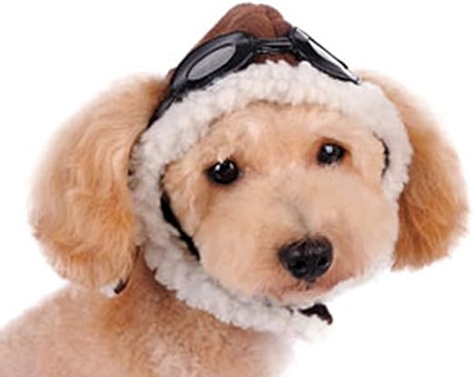 Dogo "Aviator" Hat For Cat Dog Puppy Pet (L)