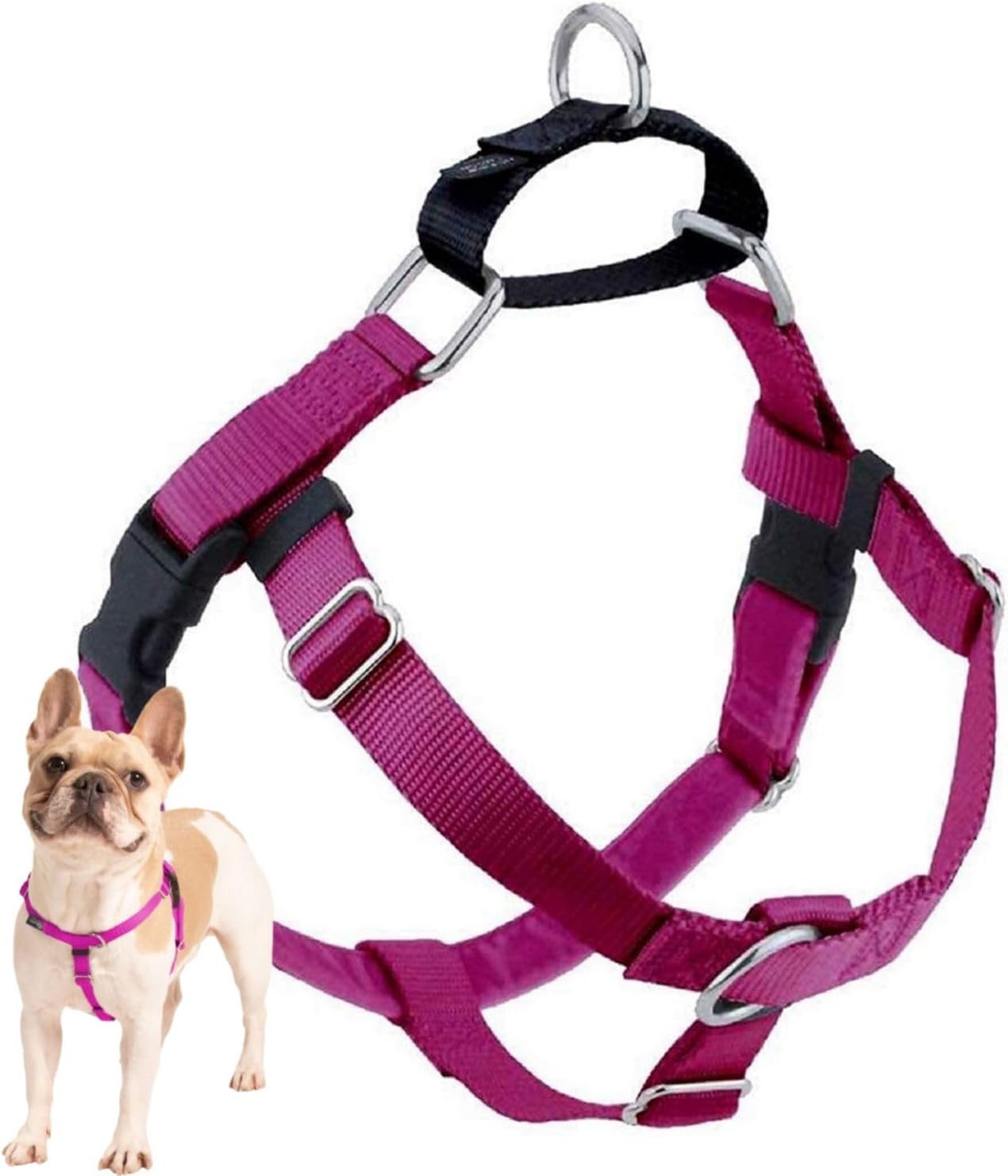 2 Hounds Design Freedom No Pull Dog Harness, 5/8" Small, Raspberry