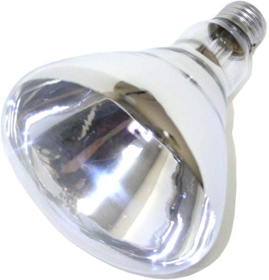 Little Giant Clear Heat Lamp Bulb - 250 watts