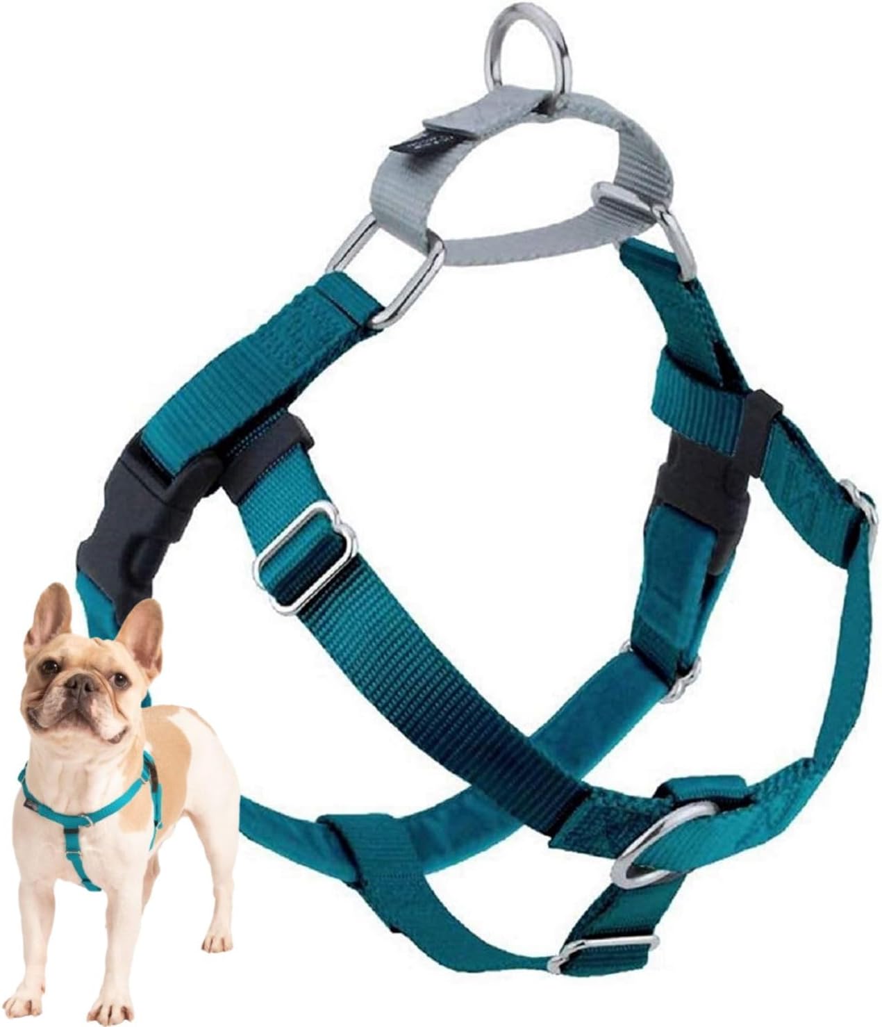 2 Hounds Design Freedom No-Pull Harness ONLY, Large Teal