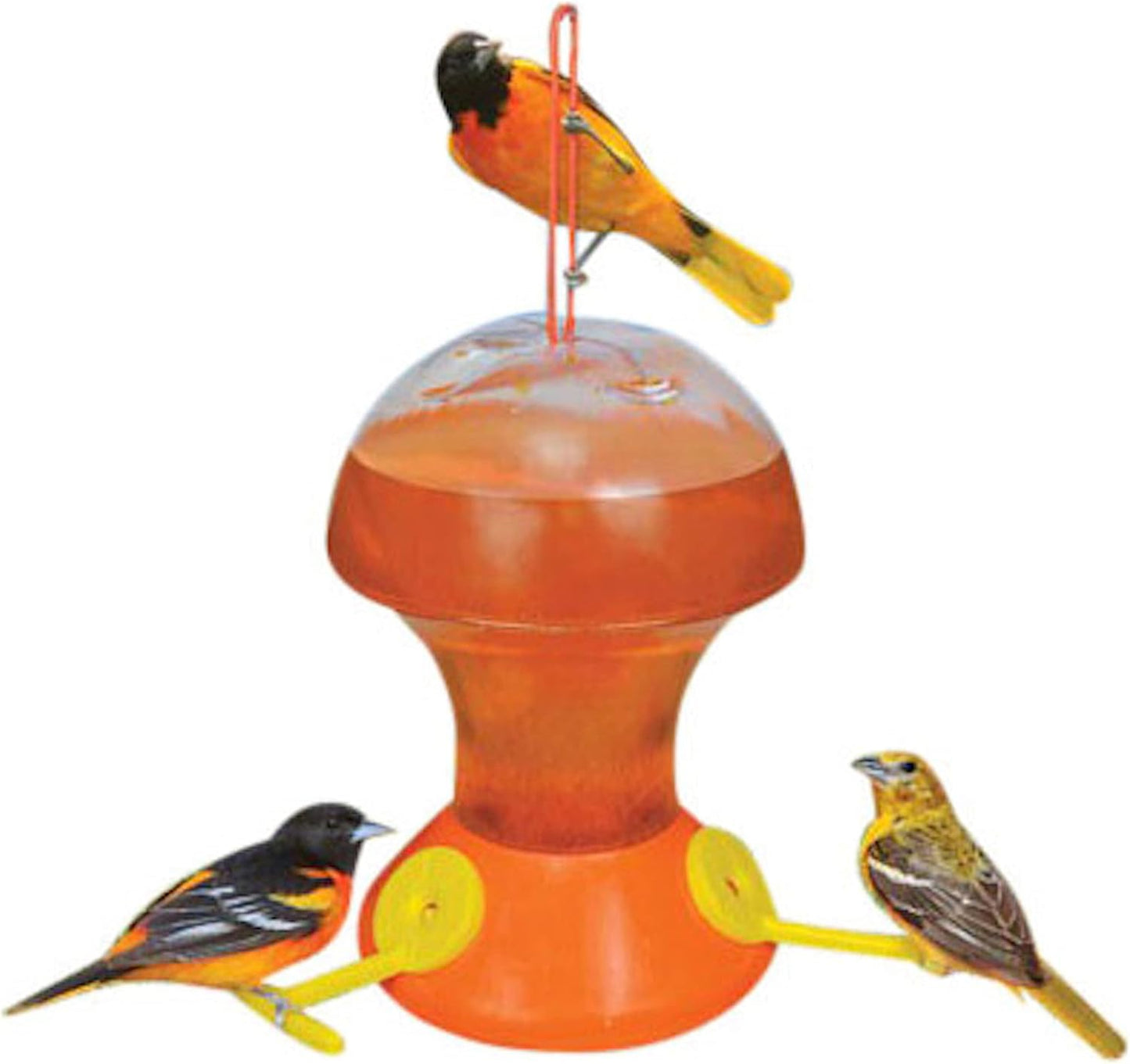 Songbird Essentials Orange/Clear Fliteline Oriole Feeder With Bee Guards - 48 Ounce