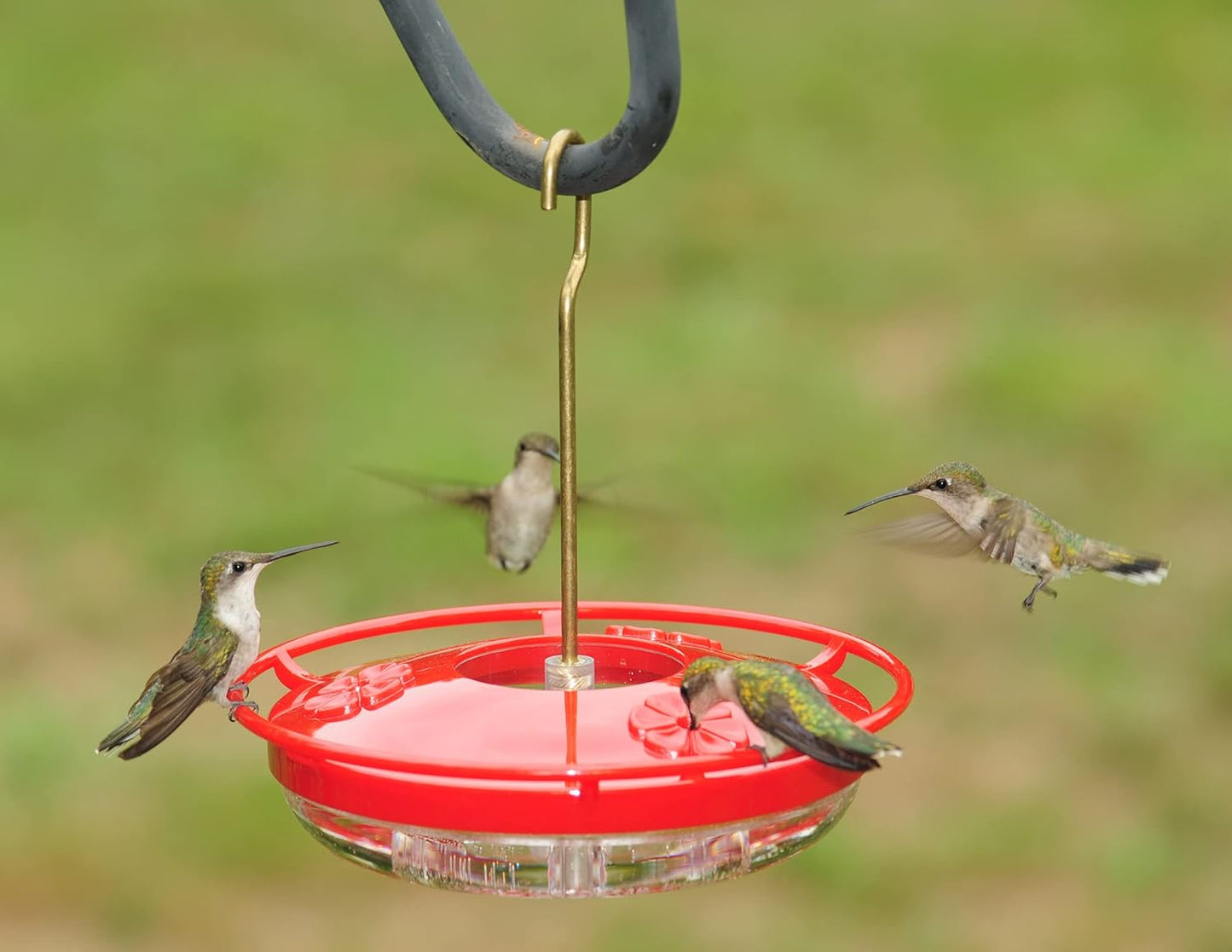 Aspects HummZinger High View Mini Hanging Hummingbird Feeder - 8 oz (Red)