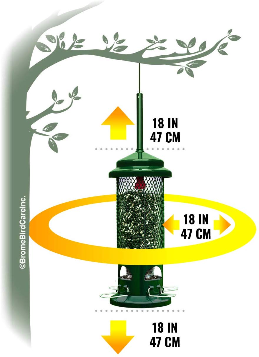 Squirrel Buster Standard Squirrel-proof Bird Feeder w/4 Metal Perches, 1.3-pound Seed Capacity