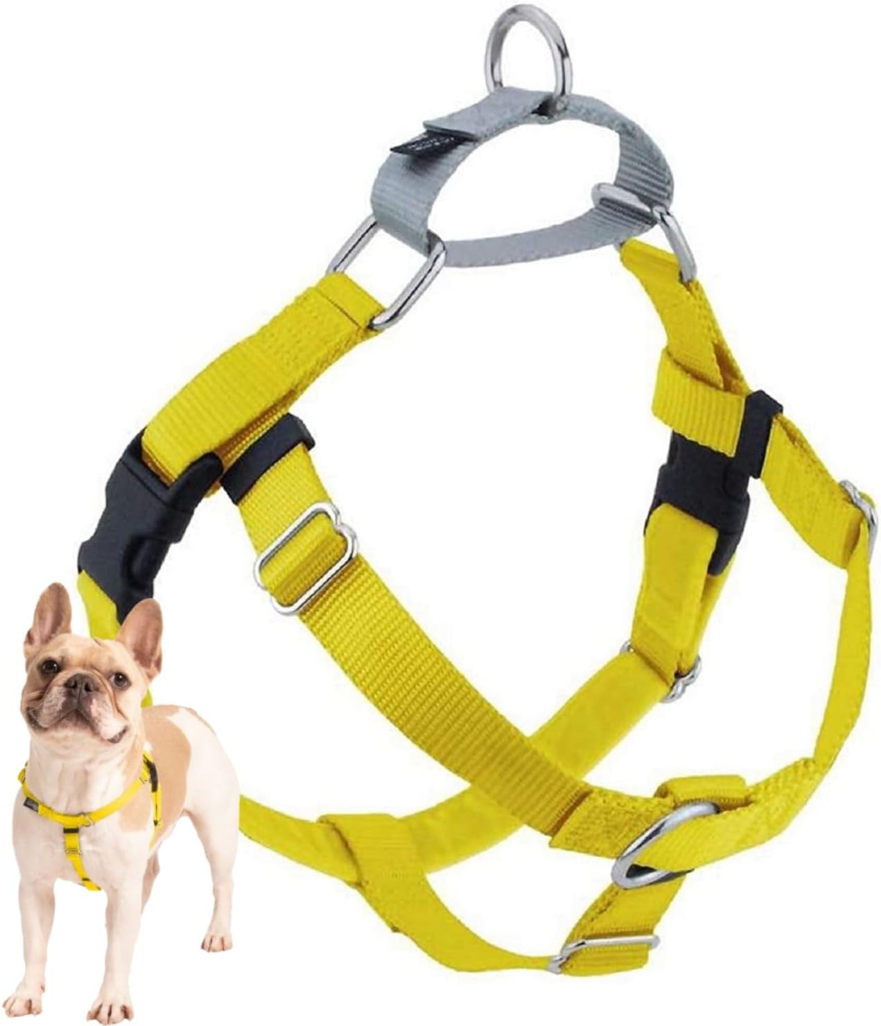 2 Hounds Design Freedom No Pull Dog Harness X-Large Yellow