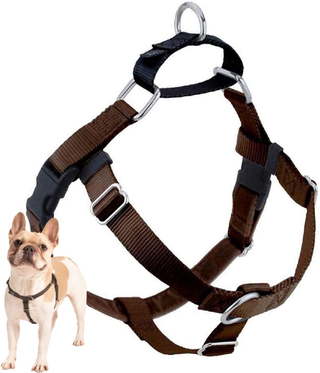 2 Hounds Design Freedom No-Pull No Leash Harness Only, 1-Inch, Large, Brown