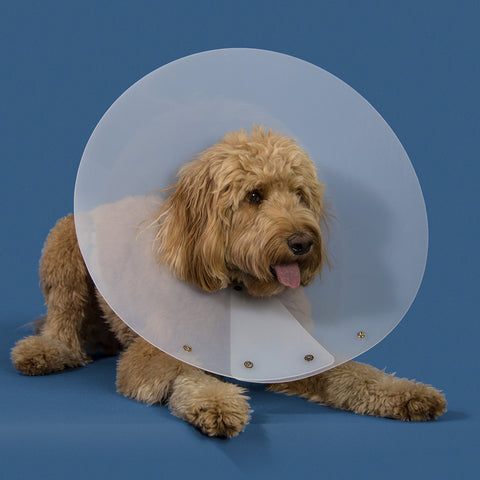 KVP SAF-T-Shield Dog Recovery Collar, Fits 6" to 8.25" Neck/12 Diameter