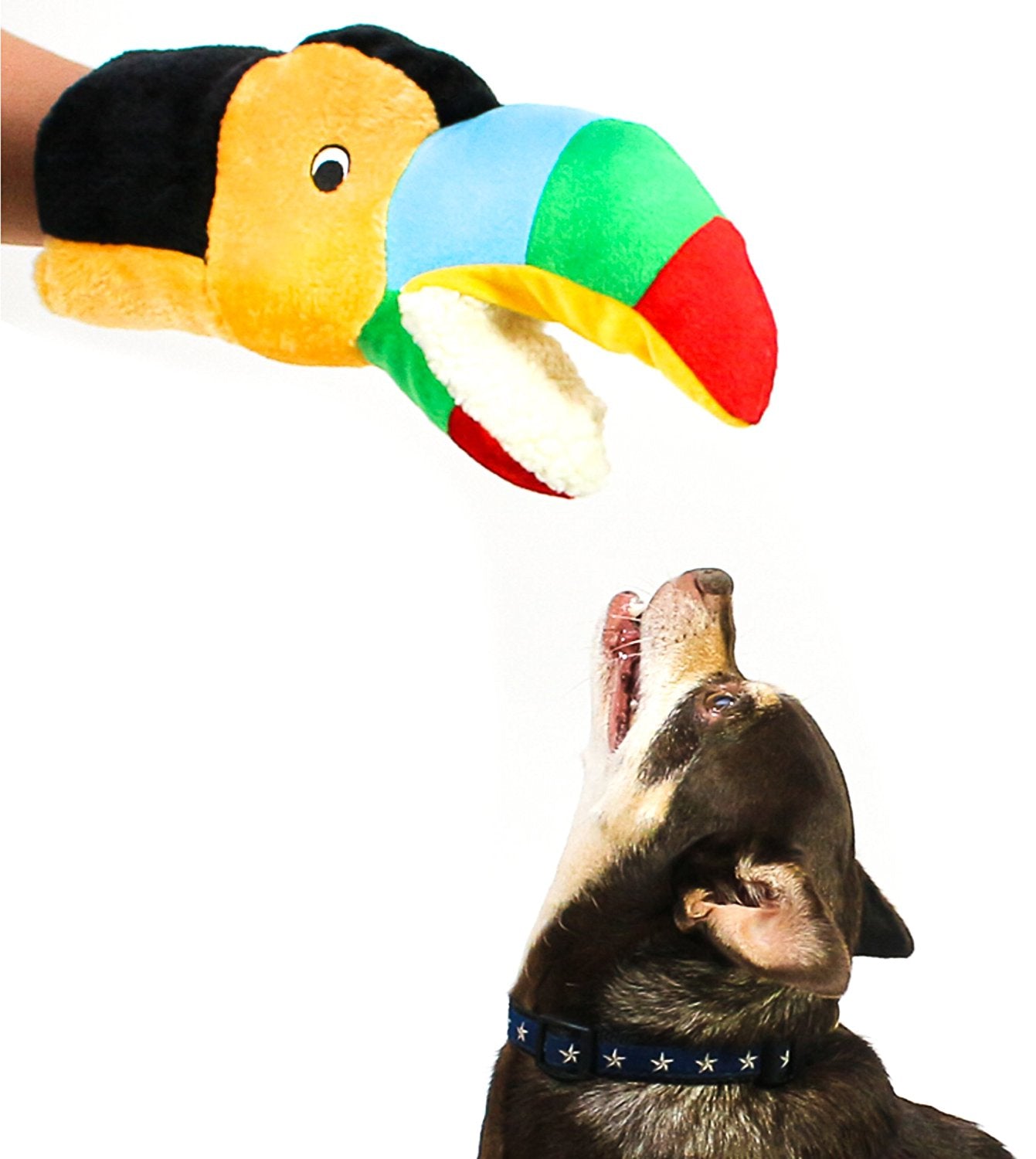 Barkology Tommy the Toucan Hand Puppet