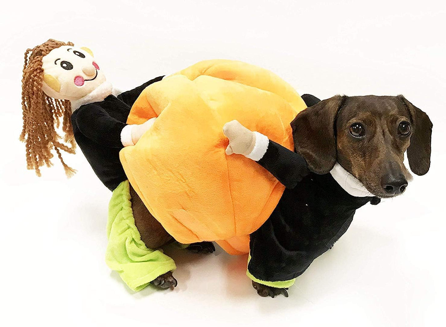 Midlee Carrying Pumpkin Small Dog Costume (XX-Large)