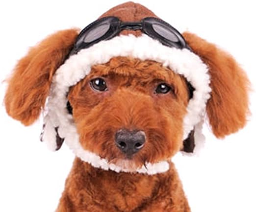 Dogo "Aviator" Hat For Cat Dog Puppy Pet (M)