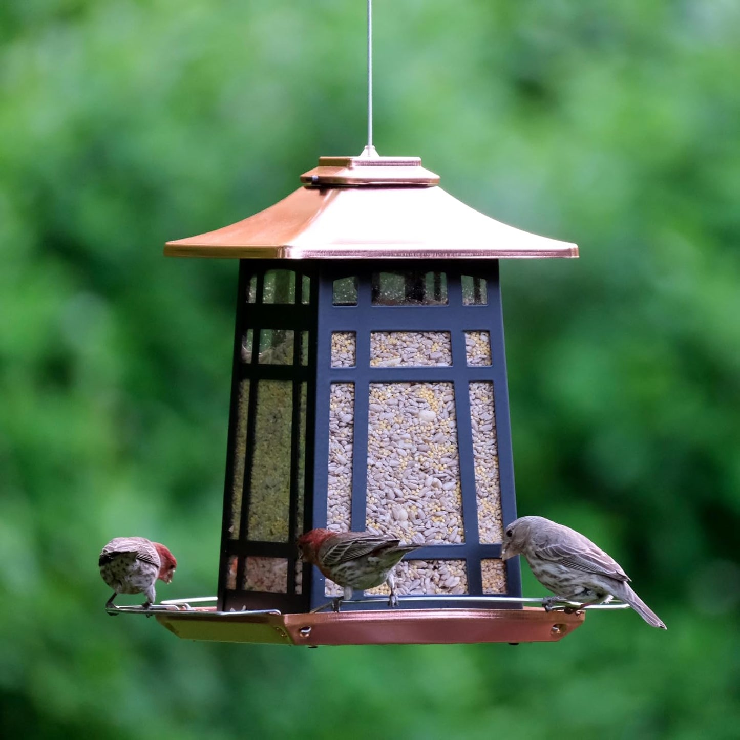 Nature's Way Bird Products Metal Gazebo Hanging Wild Bird Seed Feeder - Copper