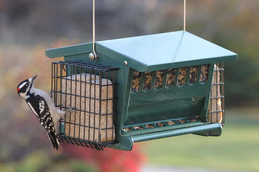 Woodlink Cherry Valley Green Mini Seeds 'N More Bird Feeder With Suet Cages