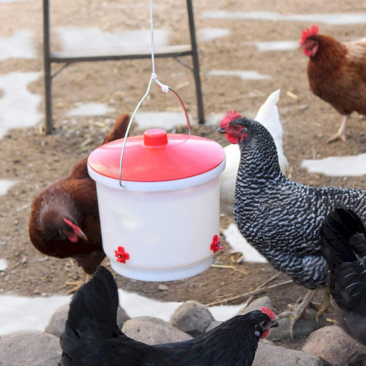 Farm Innovators Heated 2 Gallon Plastic Chicken Water Bucket Drinker Nipple Waterer - White/Red