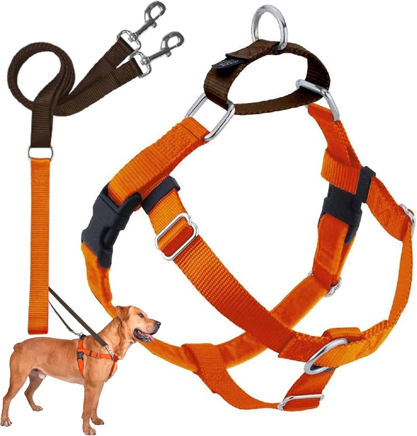 2 Hounds Design Freedom No Pull Dog Harness and Leash Set X-Large Neon Orange