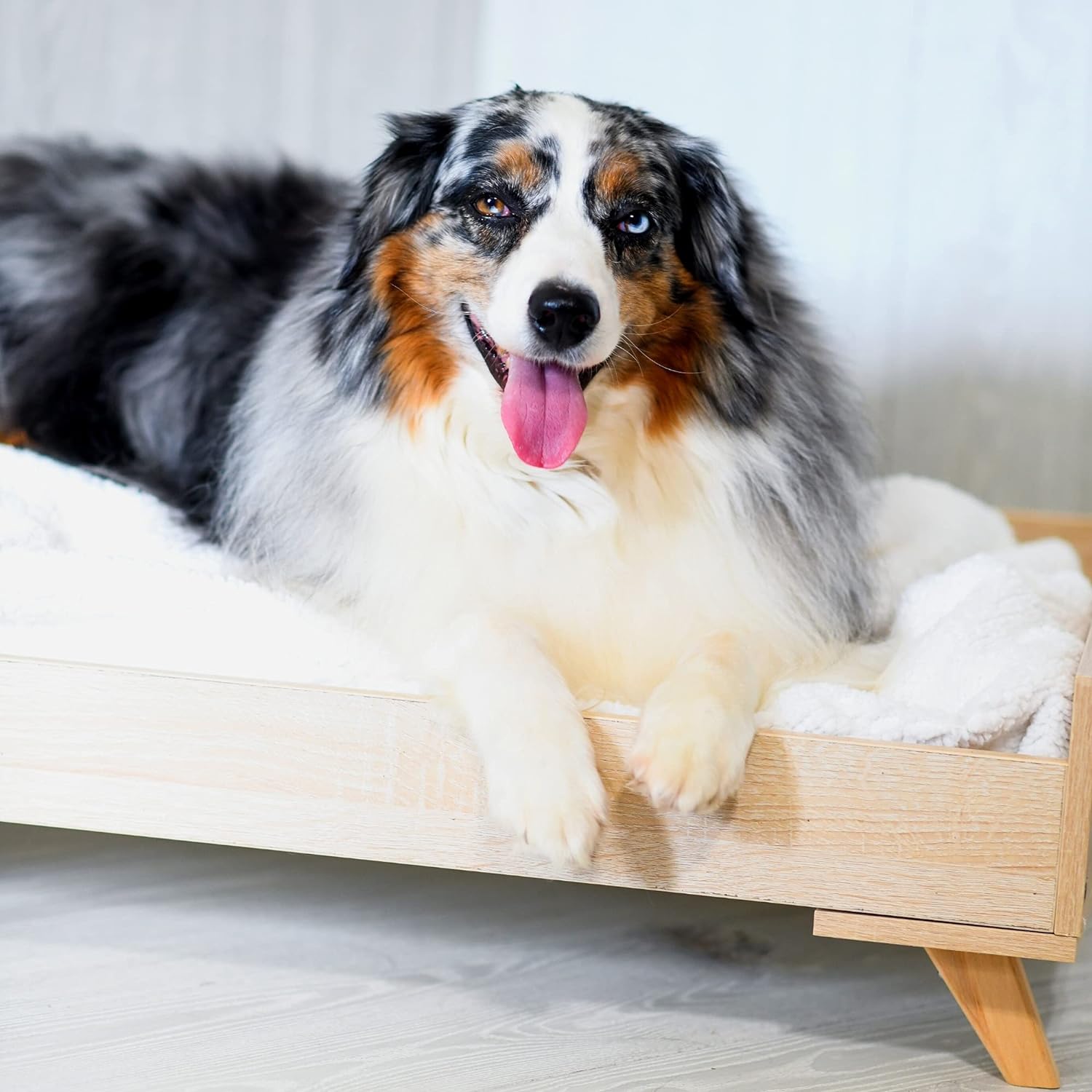Midlee Raised Wooden Dog Bed Frame- Large – Midlee Designs
