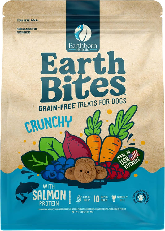 Earthborn Holistic EarthBars Salmon & Pumpkin Grain-Free Crunchy Dog Treats - 2 lbs