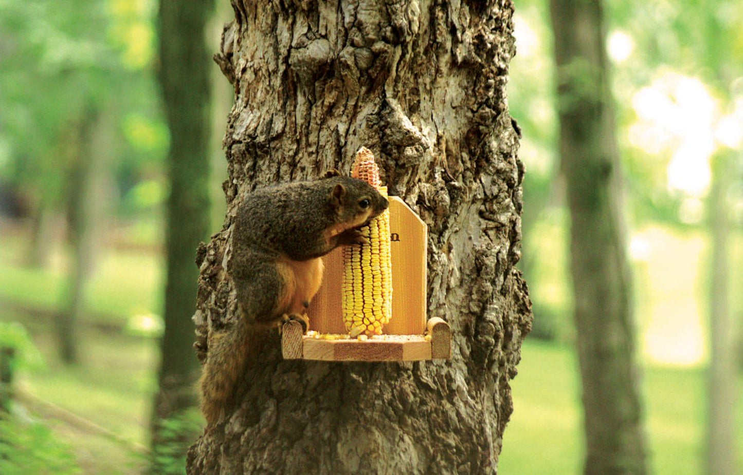 Woodlink Audubon Natural Squirrel Platform Feeder (5.75" X 6.75" X 6.5")