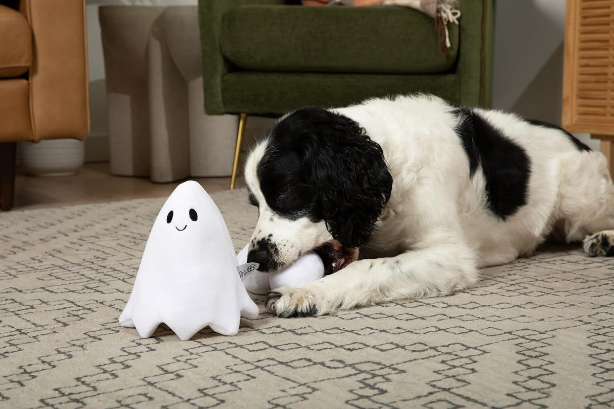 Midlee Hide a Ball Halloween Ghost Dog Toy