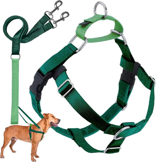 2 Hounds Design Freedom No Pull Dog Harness, Adjustable Harness and Leash Set, Easy Walking & Comfortable Control, Fits Small, Medium & Large Dogs, Solid Colors, Made in USA, 1" XL, Kelly Green