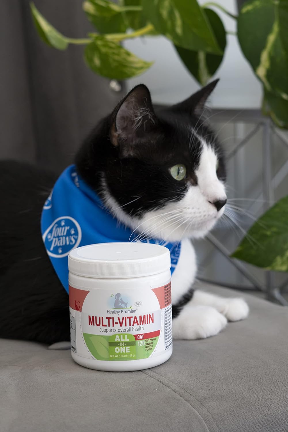 Four Paws Healthy Promise Cat Multivitamin Soft Chews - 120 Count