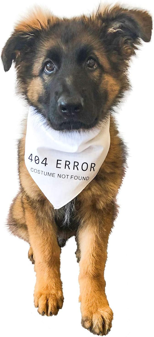 Midlee 404 Error Costume Not Found Dog Halloween Bandana