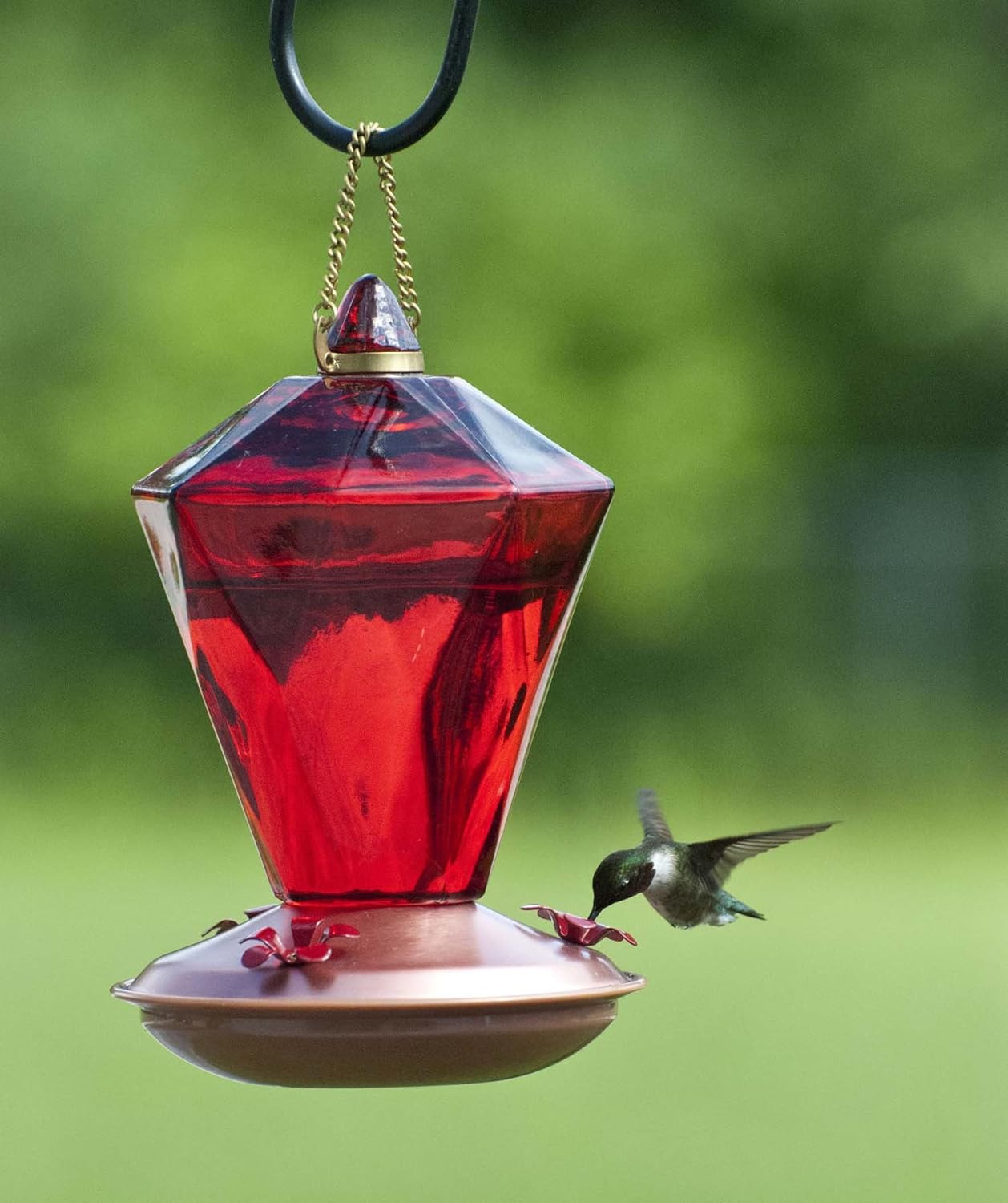 Woodlink Audubon Ruby Diamond Glass Hummingbird Feeder - Copper/Red (24 Oz)