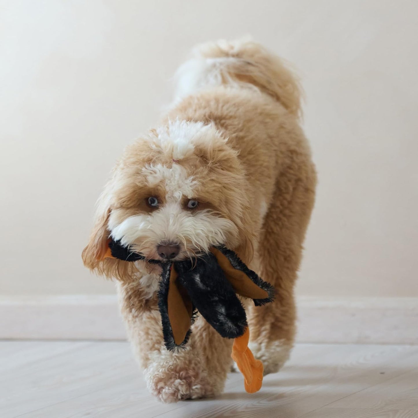 Spot Skinneeez Plush Mallard Duck Dog Toy- 14" Long- 1 Count Assorted