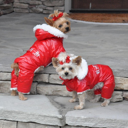 DOGGIE DESIGN Red Ruffin It Dog Snow Suit Harness (Large)