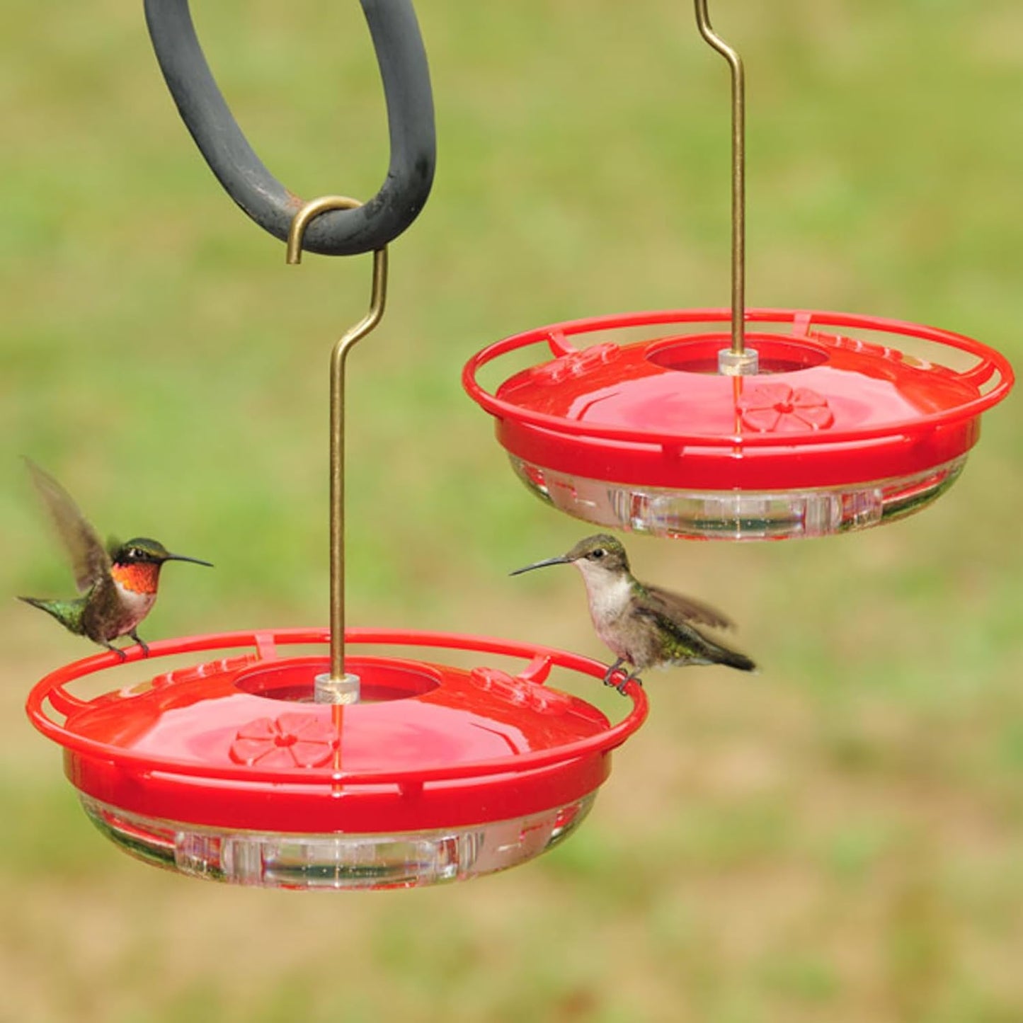 Hummzinger Highview Mini Hummingbird Feeder- 2 Pack